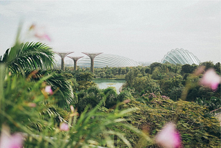 Insights from Singapore’s Cutting Edge Design Landscape