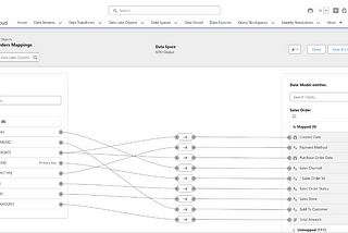 In this case, the retailer created their own custom data model and mapped the fields using external Data Lake Objects federated from Snowflake.