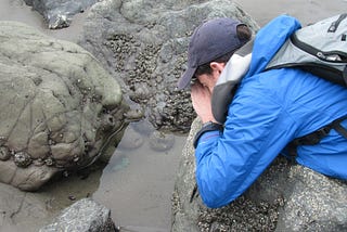How Climate Change Is Affecting Tide Pools
