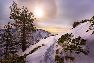 Trailing through winter wonderland