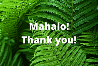 Mahalo To My 128 Followers!