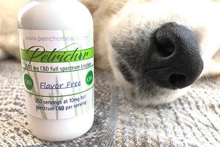 5 Top Reasons for Buying Pet CBD