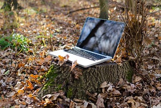 Laptop into the woods