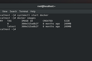 Run GUI software on Docker Container