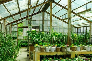 Some amazing facts about Indoor greenhouses