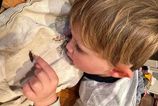A little boy petting a slug. Author’s photo.