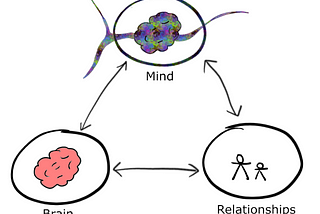 Building Healthy and Resilient Digital Products — Drawing Ideas From Interpersonal Neurobiology