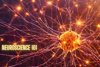 A graphic image of the inner workings of the nervous system on the cellular level with the words Neuroscience 101 as an overlay text.