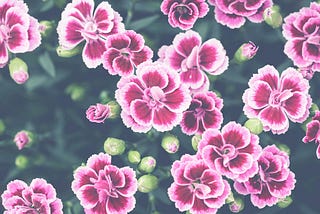 Onboarding New Writers Joining ILLUMINATION Publications Today: #186