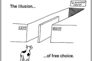 The Illusion of choice ( do we really have a say in our lives?)