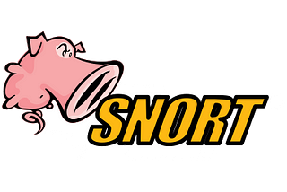 Strengthening Cyber Defences with Snort