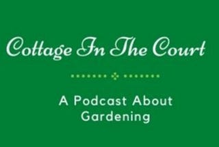 Cottage In The Court — Podcast