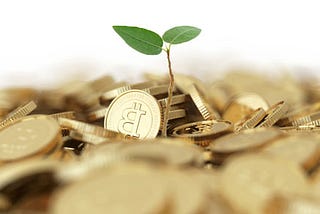 How to Invest in Cryptocurrency in Smarter Way