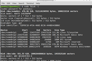 Read Only Disk on Linux Mint Dual Boot with Windows