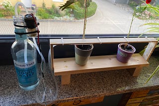 Plant Watering