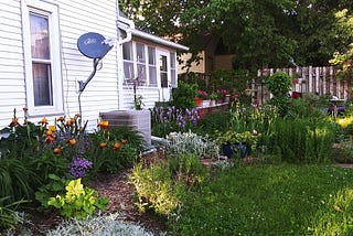 Giggles in the Garden: Questions From a New Gardener, and a Tip