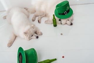 Two drunk dogs after St. Patrick’s Day
