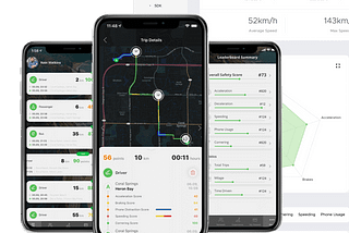 Driver Monitoring: Telematics App Overview