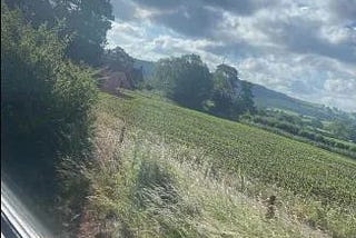 Stopping (sexual?) assault on a train