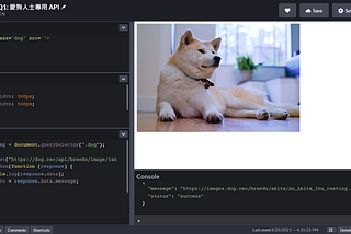 [開發紀錄01] 愛狗人士專用 API