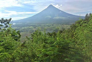 Daylight photo of tropical rainforest on a sunny day at foreground. In the background, the Mayon Volcano stands tall.