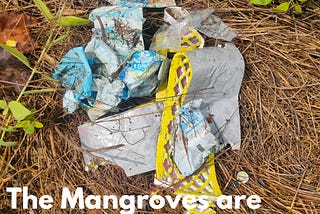 Are the Mangroves & Wetlands in Ghansoli, Navi Mumbai turning into garbage landfills?