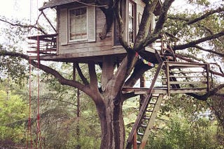 The Eternal Treehouse