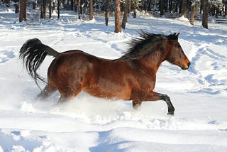 Faster Horse Requirement