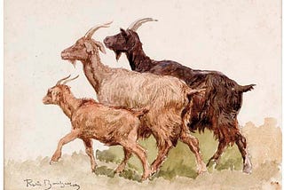 Mainstream Media of Exchange