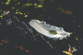Chase of the Nymphs
