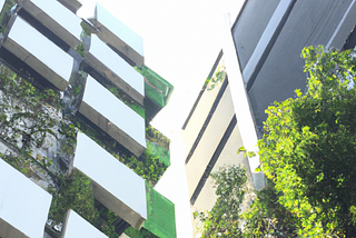 Case study on IoT HVAC and Lighting Systems: Data Insights for the Future of Sustainable Buildings.