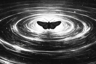 Abstract monochrome illustration of a butterfly silhouette at the centre of expanding circular ripples.