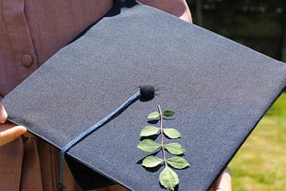Why University Feels Like a Mini Version of Life Itself.