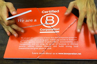 Multinational B Corporations: Big Business as a Force for Social Good