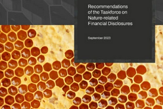 5 things you need to know about the Launch of the TNFD Recommendations
