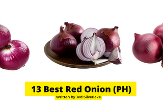 13 Best Sibuyas Red Onion Philippines 2022 (w/ Free Discount)