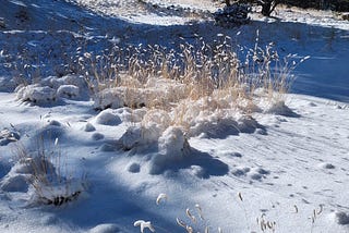 A Taste of Winter — A Time to Receive