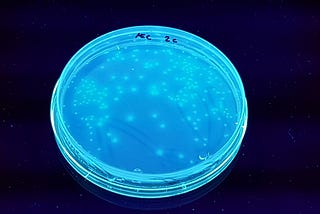 The Science: Genetically Modifying E. Coli to be Bioluminescent