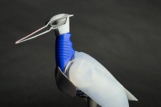 The Animal Project — 3D Form