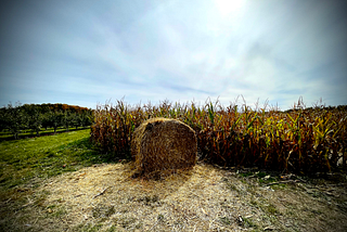 Observability Mythbusters: Observability Anti-Patterns