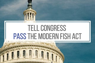 Real Conservation Starts with the Modern Fish Act