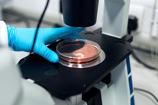 The $0.70 Mistake: Navigating the Hidden Costs of Google’s New BigQuery PubMed Dataset