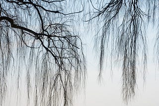 horizon, dividing line of water, sky and tree branches trailing | © pockett dessert, shifting