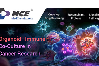 Tumor Organoid-Immune Cell Co-Culture Models: Advances, Applications, and Future Directions