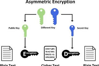 Public key Algorithms in Cryptography