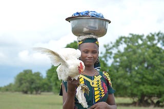 The Role of Communal Clashes in Rural to Urban Migration in Nigeria.