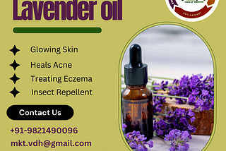 Lavender Oil: A Comprehensive Guide to Its Benefits and Uses