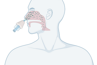 Representation of an intranasal dry-powder inhaler passive vaccine. (Image credit: Lumen Bio)