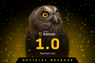 We’ve Launched Exonum 1.0.0!