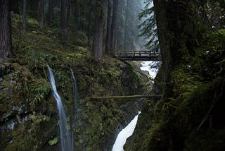 Olympic National Park